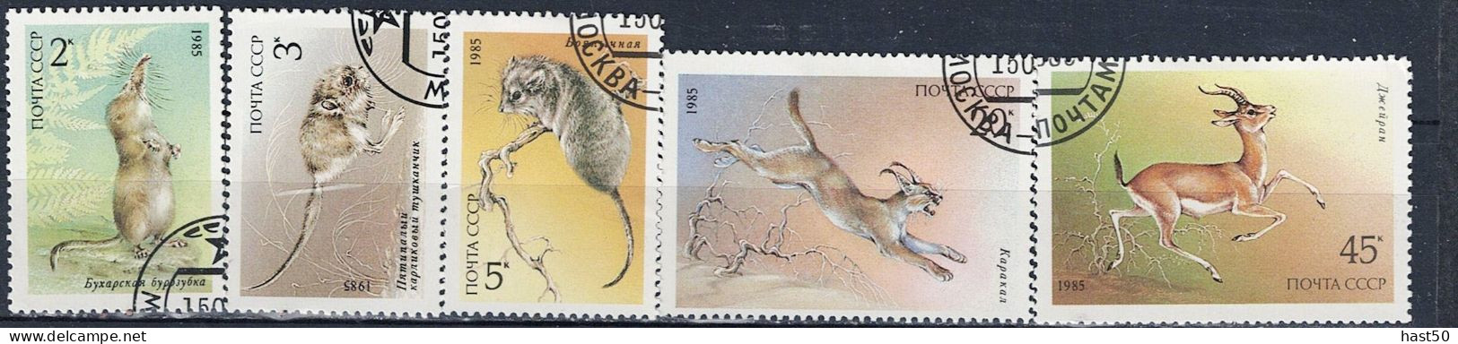 Sowjetunion UdSSR - Geschützte Tiere (MiNr. 5537/41) 1985 - Gest Used Obl - Used Stamps