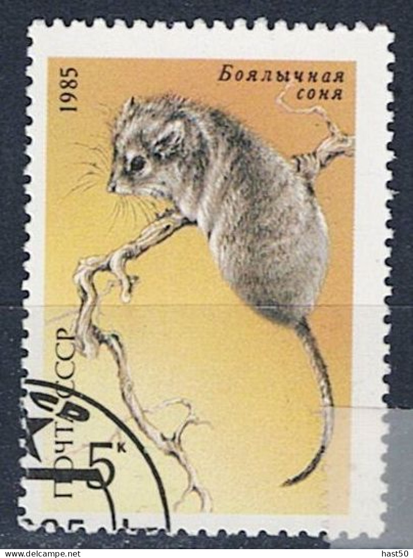 Sowjetunion UdSSR - Buchara-Spitzmaus (Sorex Bucharensis) (MiNr. 5539) 1985 - Gest Used Obl - Used Stamps