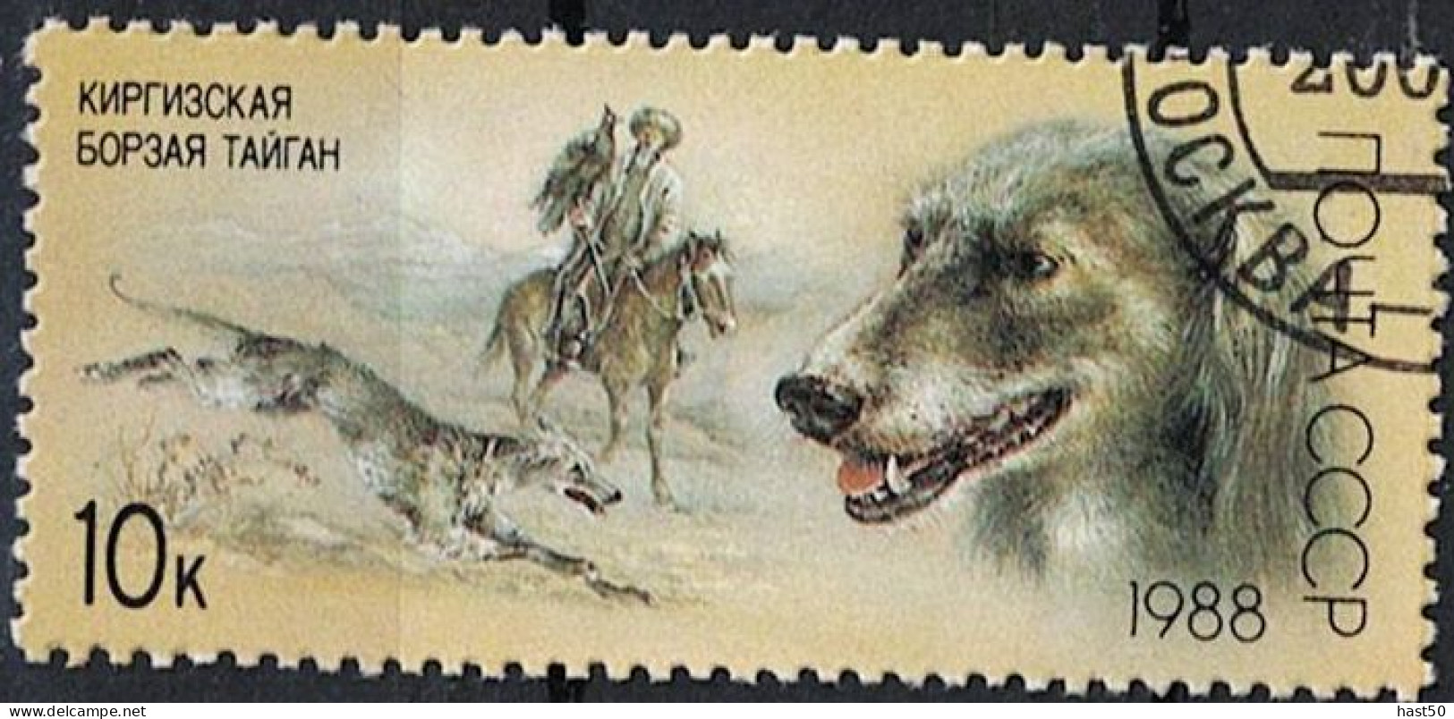 Sowjetunion UdSSR - Kirgisischer Windhund (Taigan) (MiNr. 5828) 1988 - Gest Used Obl - Usati