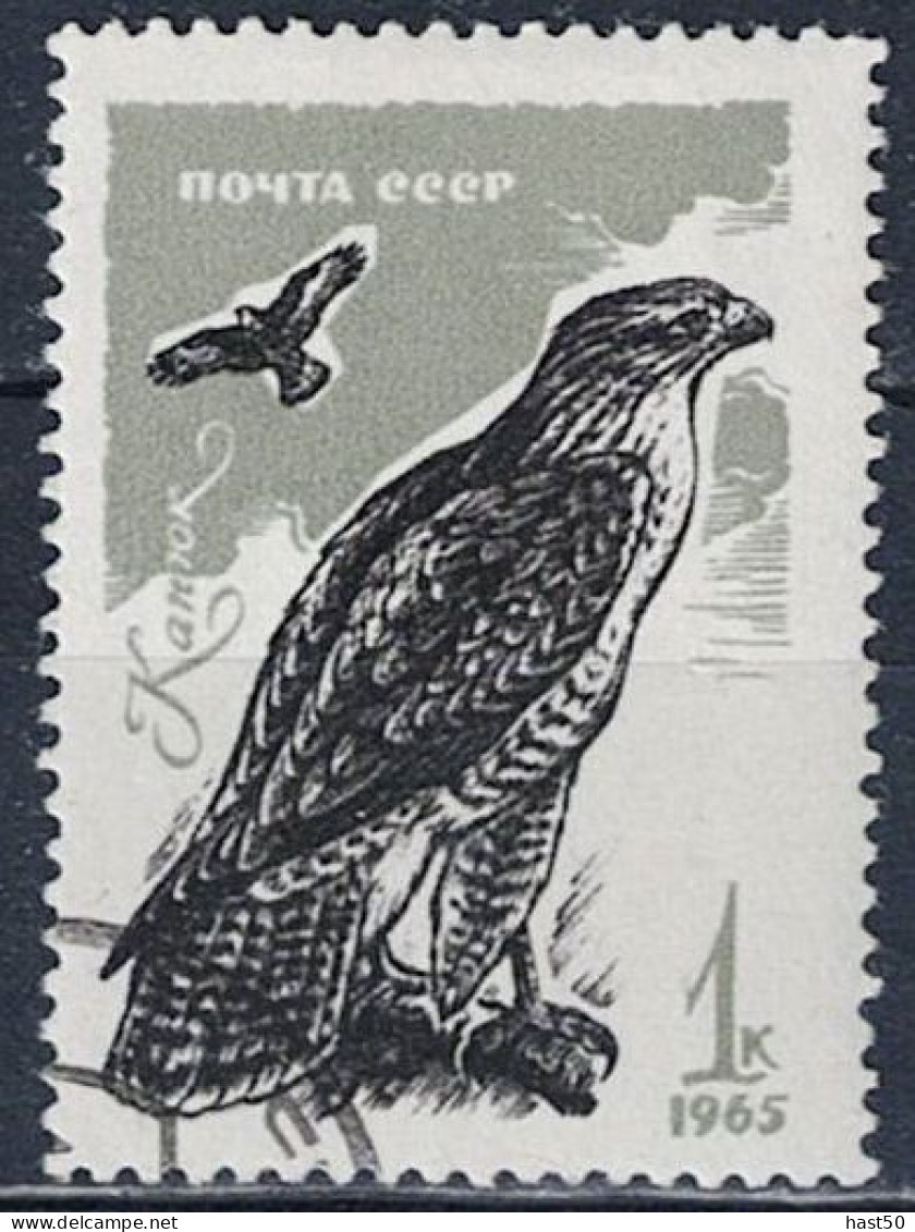 Sowjetunion UdSSR - Mäusebussard (Buteo Buteo) (MiNr. 3146) 1965 - Gest Used Obl - Usados