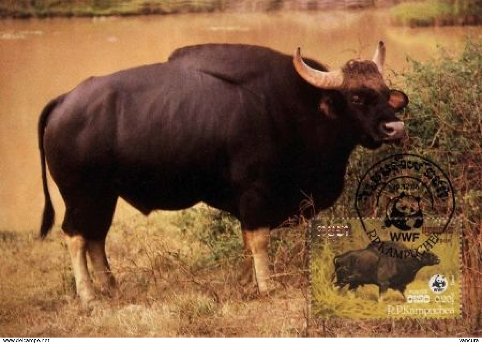 CM Campuchea/WWF 1986 Gaur Banteng Water Buffalo Kouprey - Vacas