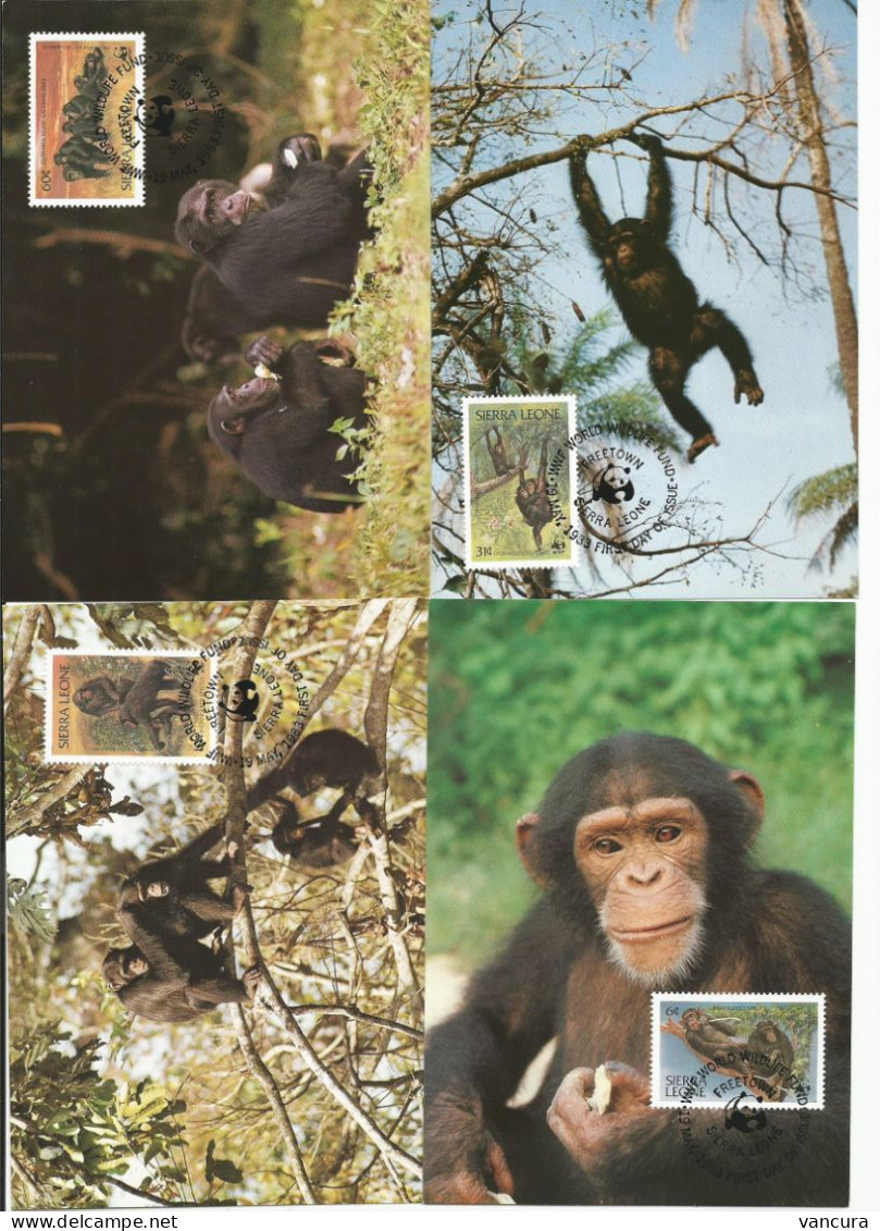 CM Sierra Leone/WWF Protected Chimp 1983 - Chimpancés