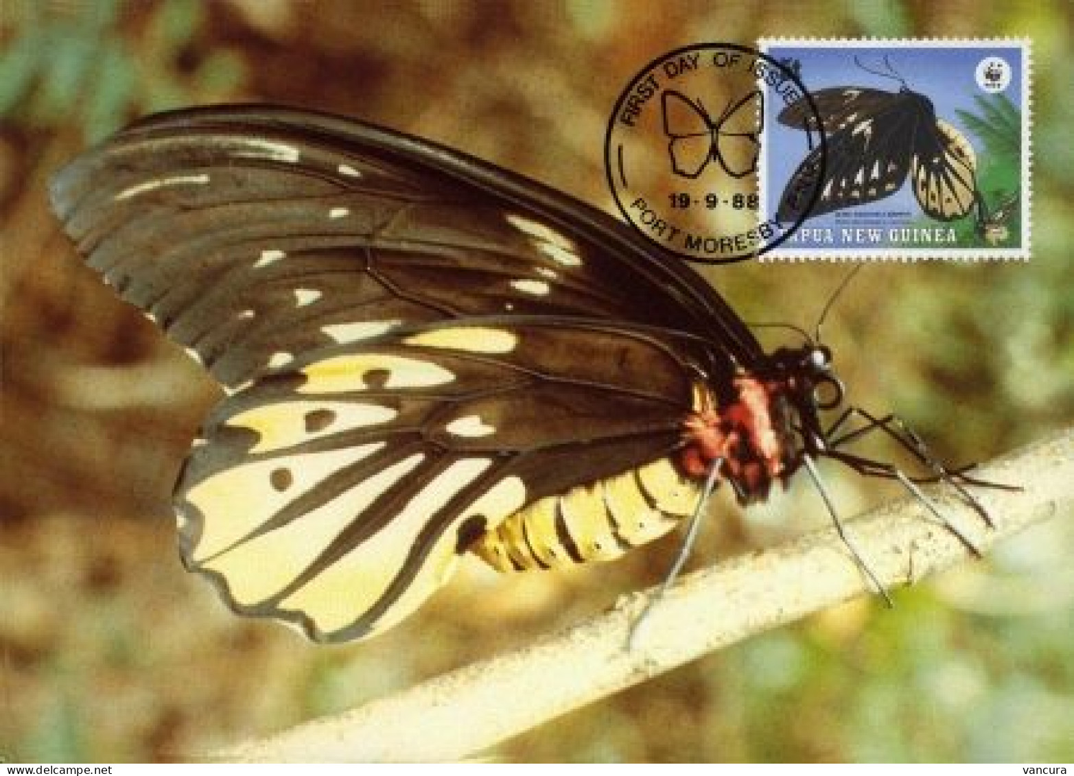 CM Papua New Guinea/WWF Protected Butterfly 1988 Queen Alexandra's Birdwing - Vlinders