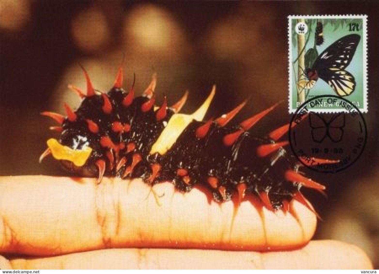 CM Papua New Guinea/WWF Protected Butterfly 1988 Queen Alexandra's Birdwing - Schmetterlinge