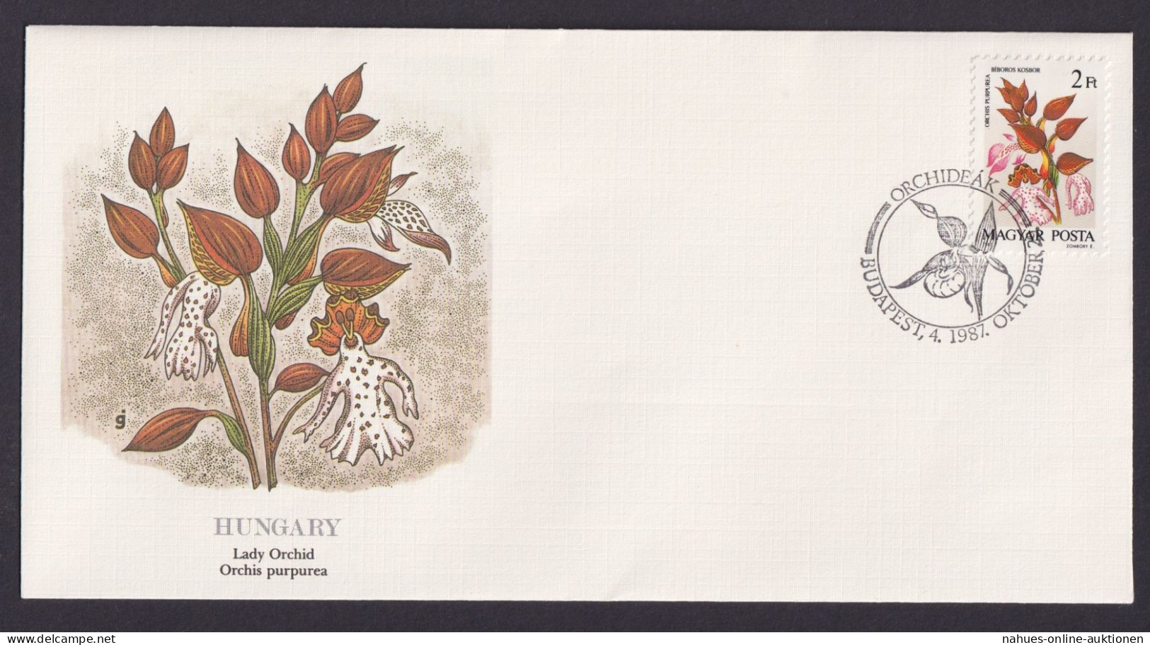 Hungary Ungarn Flora Orchis Purpurea Schöner Künstler Brief - Cartas & Documentos