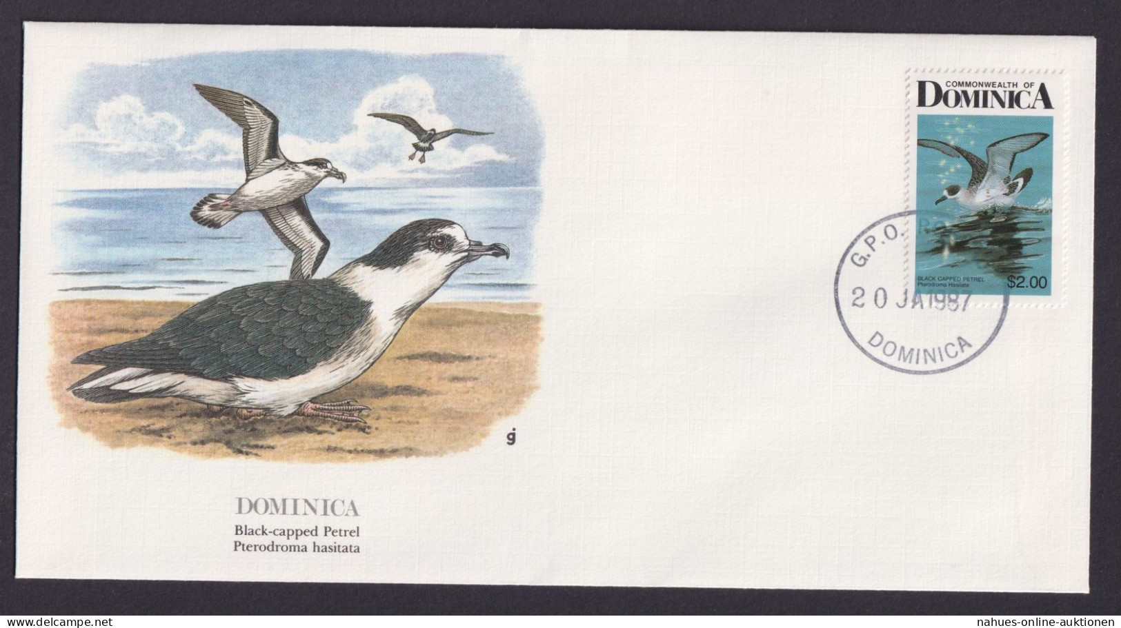 Dominica Karibik Fauna Vögel Teufelssturmvögel Schöner Künstler Brief - Dominica (1978-...)