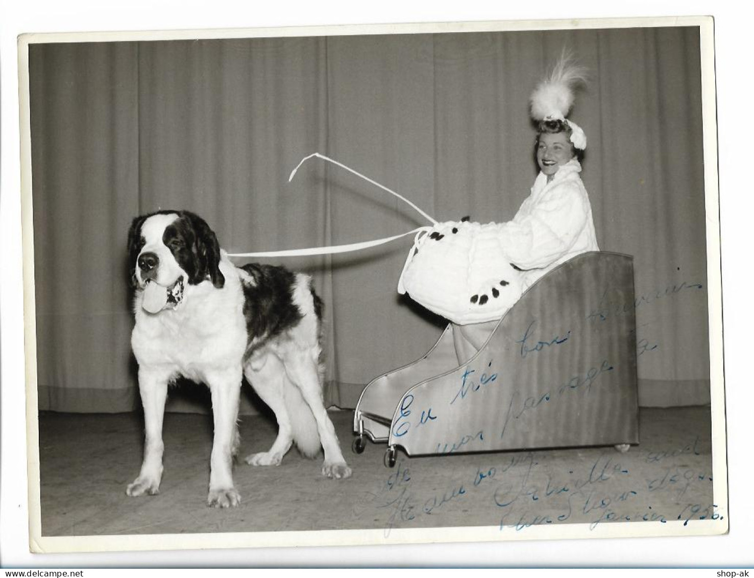 C5202/ Hundedressur Gabriela And Dogs In Hamburg Foto 1956 Bernhardiner Variete - Autres & Non Classés
