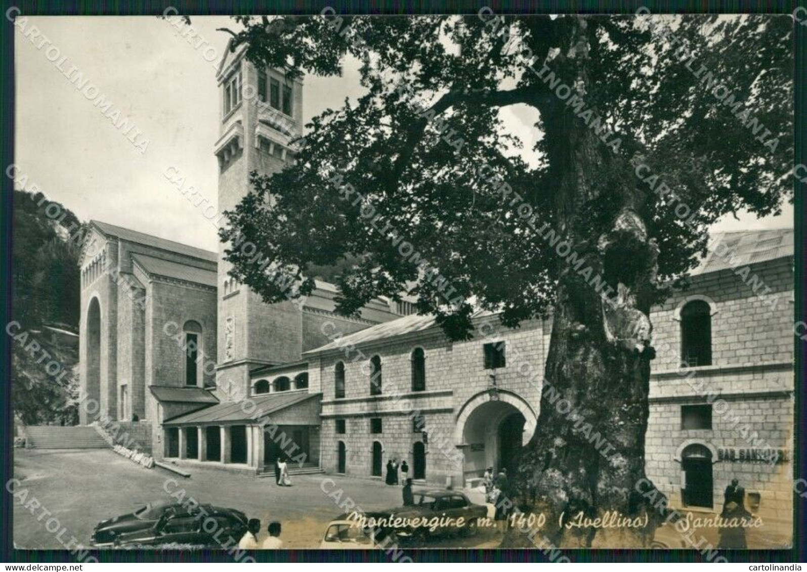 Avellino Mercogliano Montevergine PIEGHINA MACCHIA Foto FG Cartolina ZKM7717 - Avellino