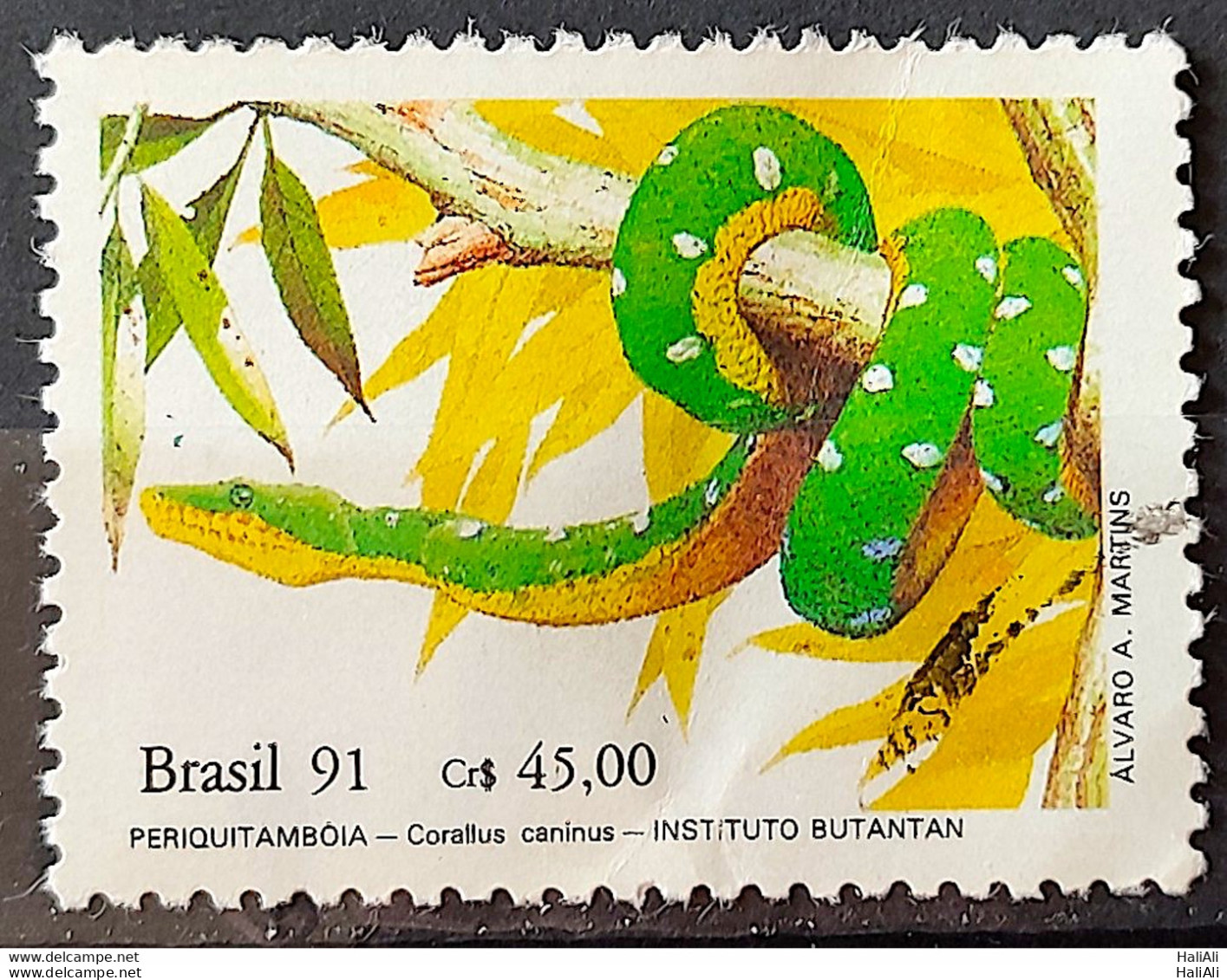 C 1738 Brazil Stamp Butantan Institute Snake Periquitamboia 1991 Circulated 3 - Used Stamps