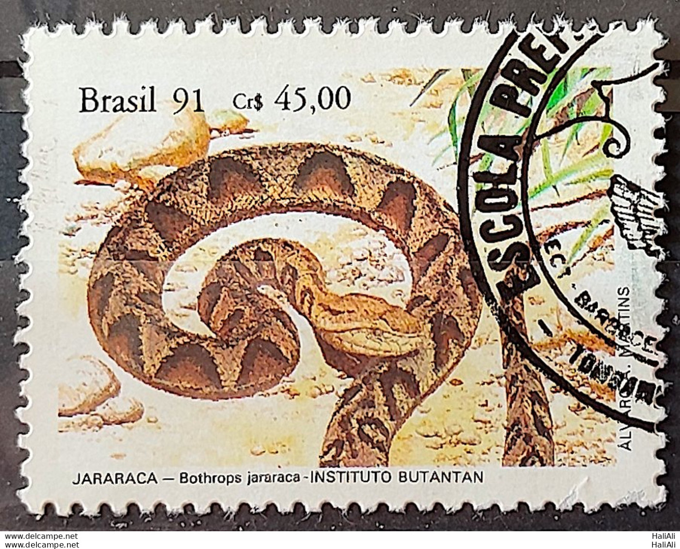 C 1737 Brazil Stamp Butantan Institute Snake Jararaca 1991 Circulated 5 - Gebraucht