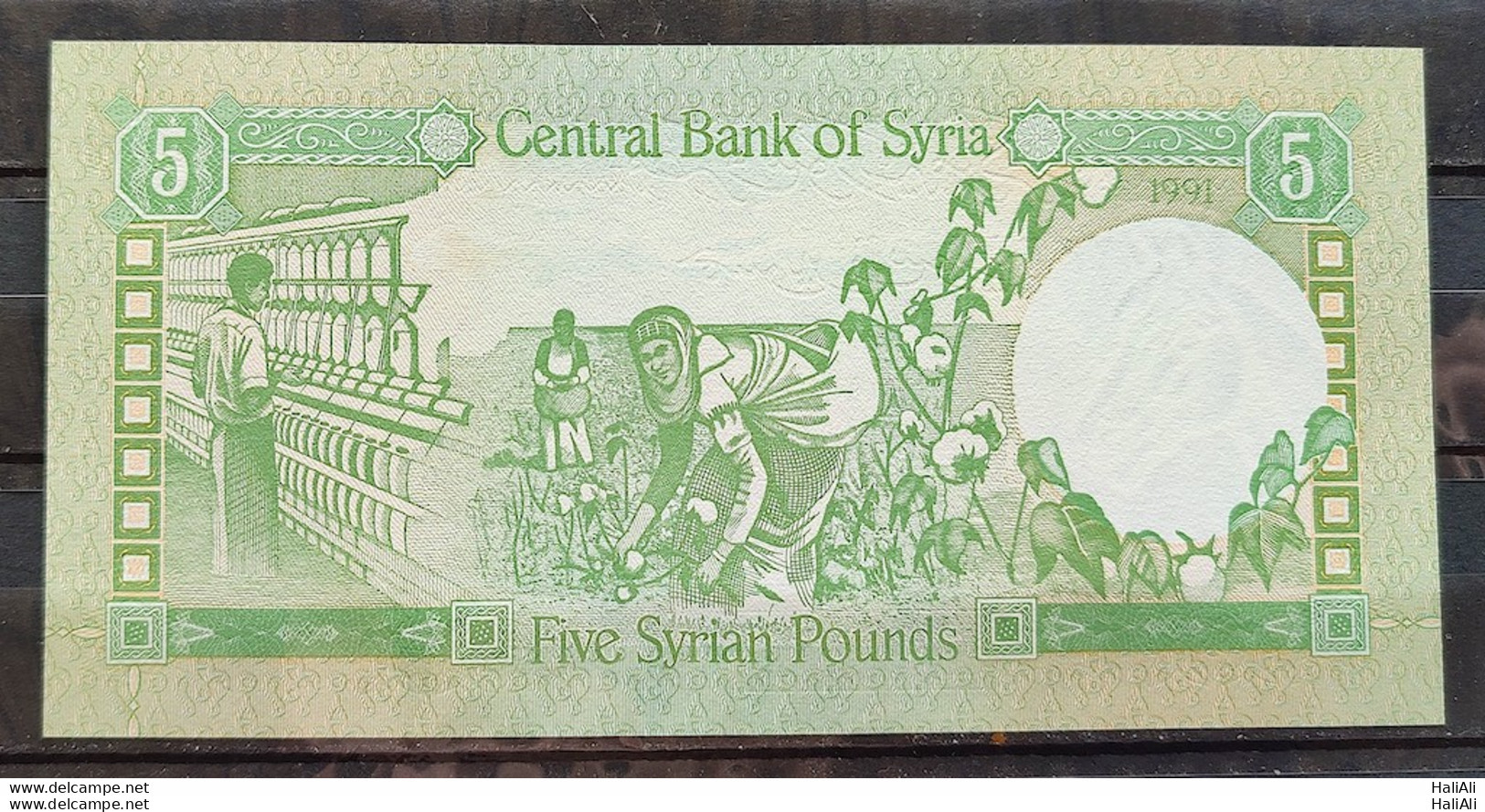 Banknote Siria 5 Pounds 1991 FE - FDC