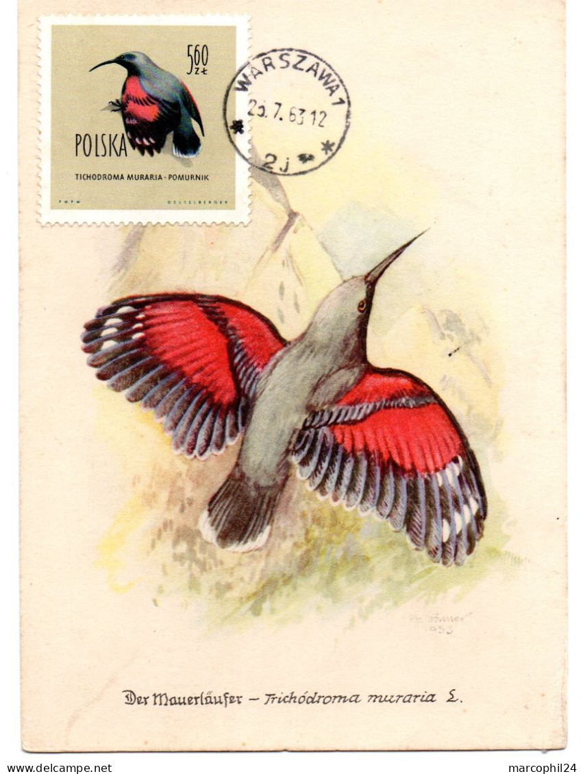 OISEAU / Trichodrome = POLOGNE 1960  N° 1080  = CARTE MAXIMUM - Sperlingsvögel & Singvögel