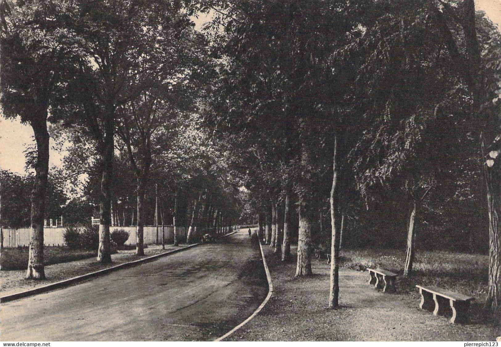 88 - Thaon Les Vosges - Avenue Armand Lederlin - Thaon Les Vosges