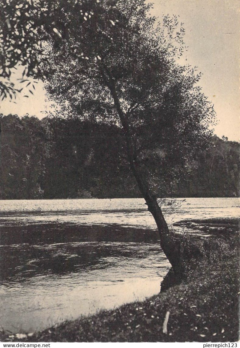 88 - Thaon Les Vosges - Un Coin De La Moselle - Thaon Les Vosges