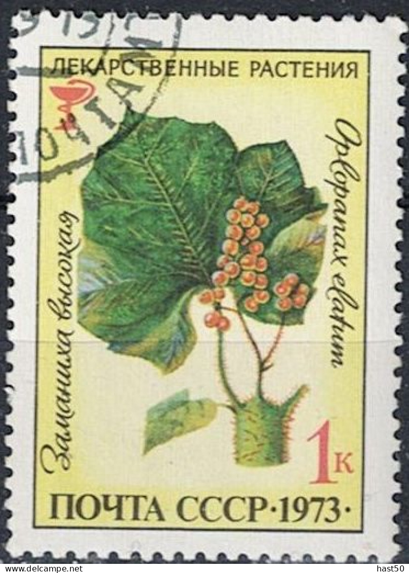 Sowjetunion UdSSR - Igelkraftwurz (Oplopanax Horridus) (MiNr. 4156) 1973 - Gest Used Obl - Oblitérés