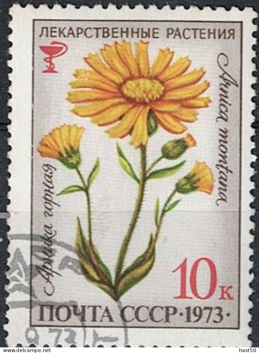 Sowjetunion UdSSR - Arnika (Arnica Montana) (MiNr. 4159) 1973 - Gest Used Obl - Usati