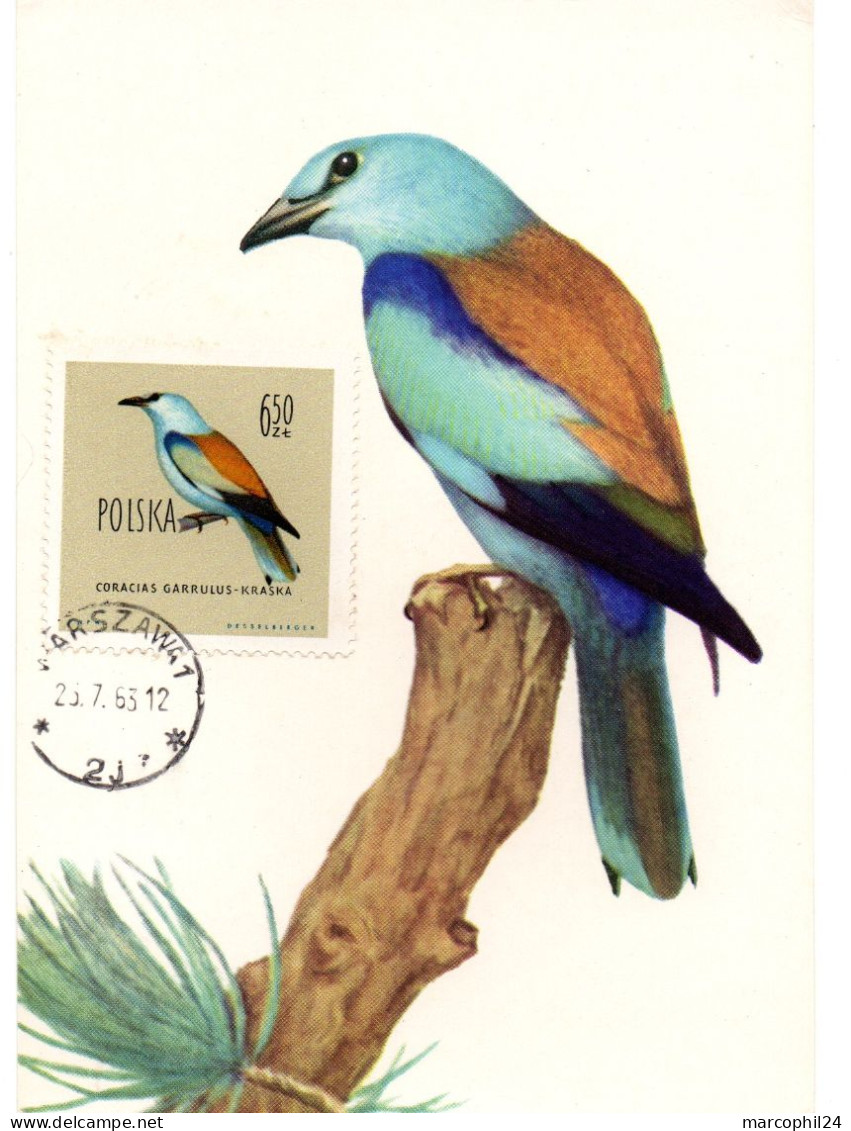 OISEAU / Rollier D'Europe = POLOGNE 1960  N° 1081  = CARTE MAXIMUM - Sperlingsvögel & Singvögel