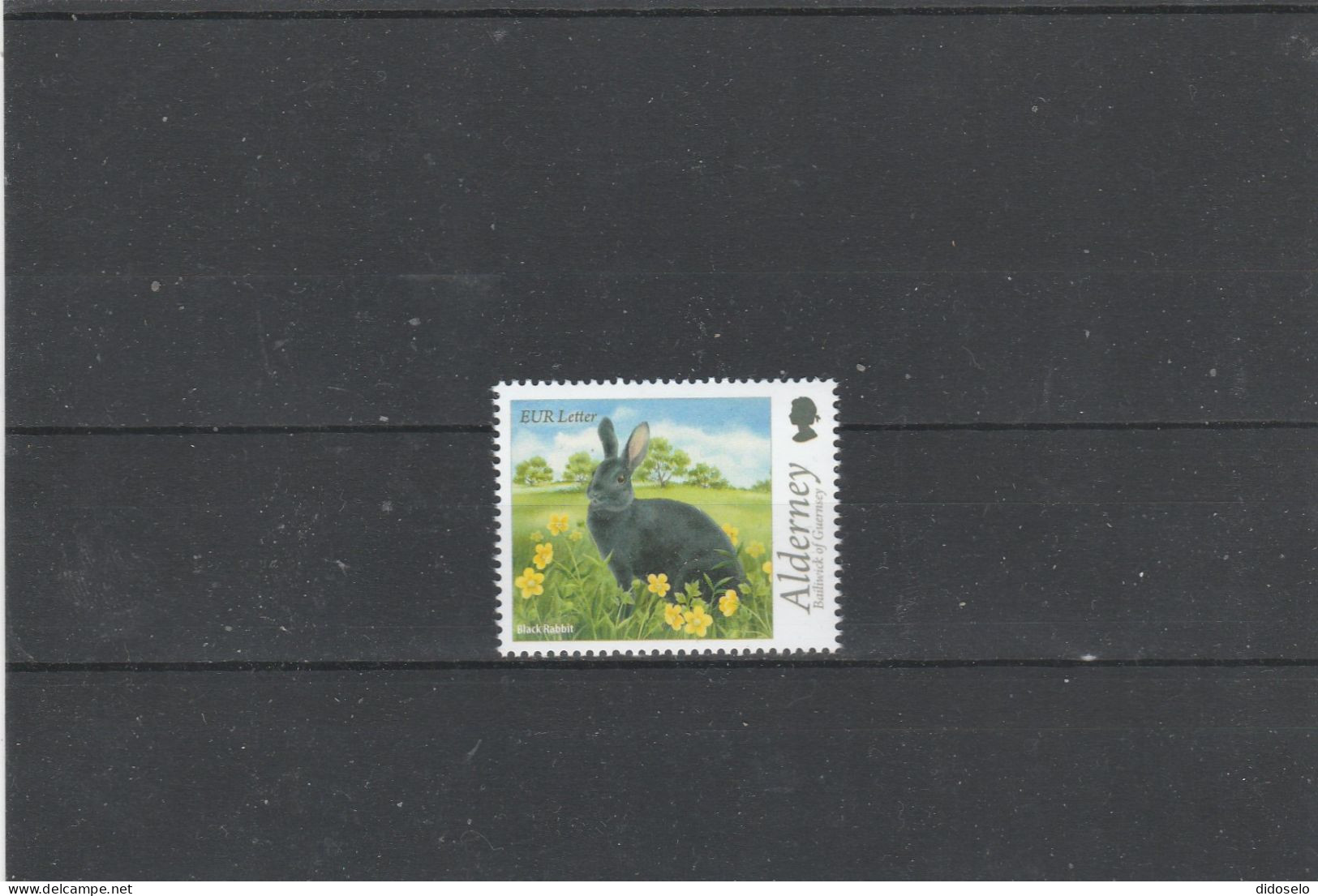 Alderney -  Black Rabbit - MNH (**) Stamp - Hasen