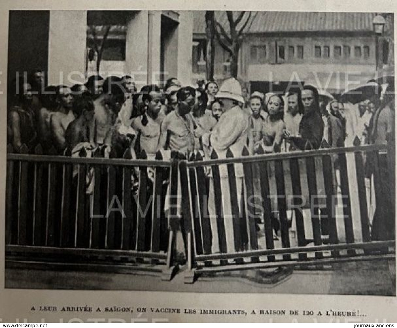 1905 LES IMMIGRANTS CHINOIS - LA TRAITE DES JAUNES - SERVICE ANTHROPOMÉTRIQUE - SAIGON - ARTICLE DE ZO D'AXA