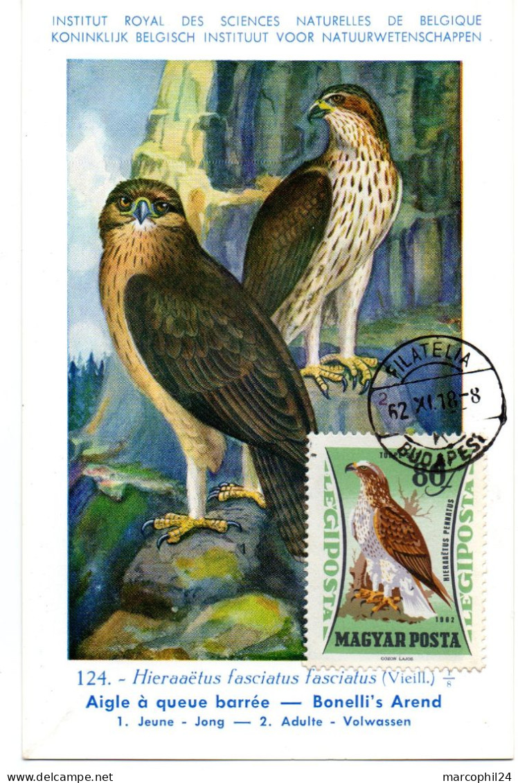 OISEAU / Aigle à Queue Barrée = HONGRIE 1964  N° 253  = CARTE MAXIMUM INSTITUT ROYAL De BELGIQUE - Adler & Greifvögel