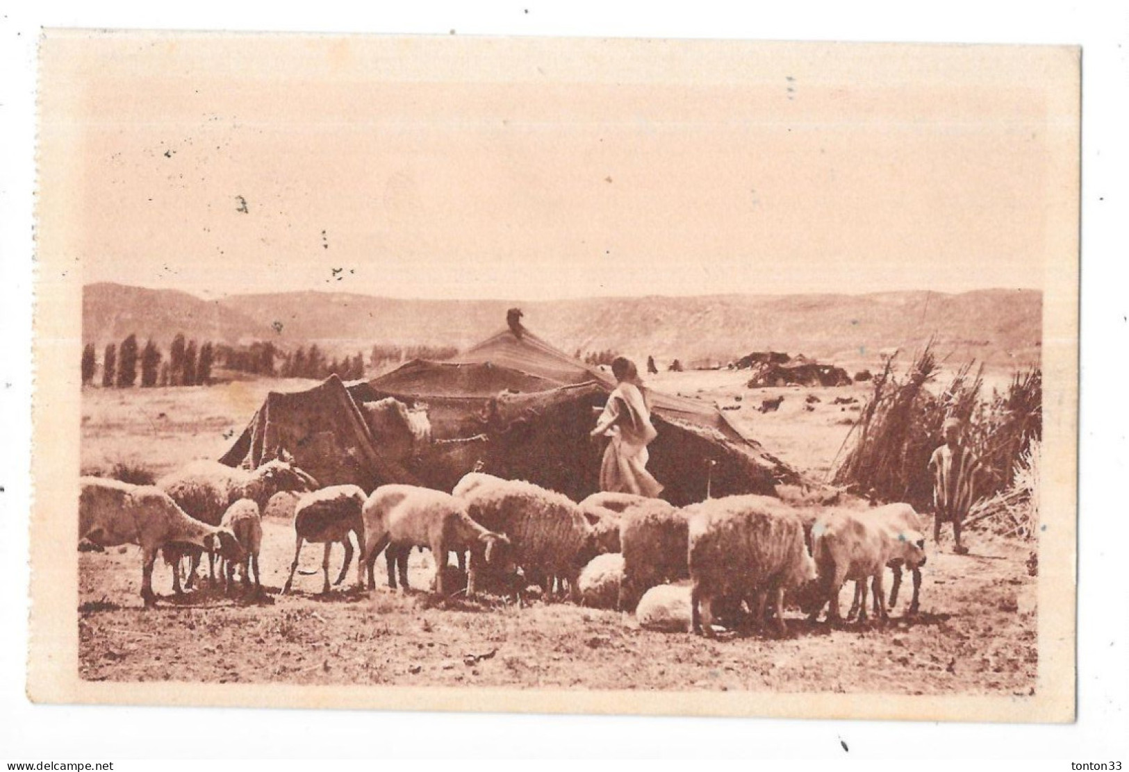 ALGERIE - SCENES Et TYPES - Campement De Nomades Sur Les Hauts Plateaux -  - TOUL 6 - - Plaatsen