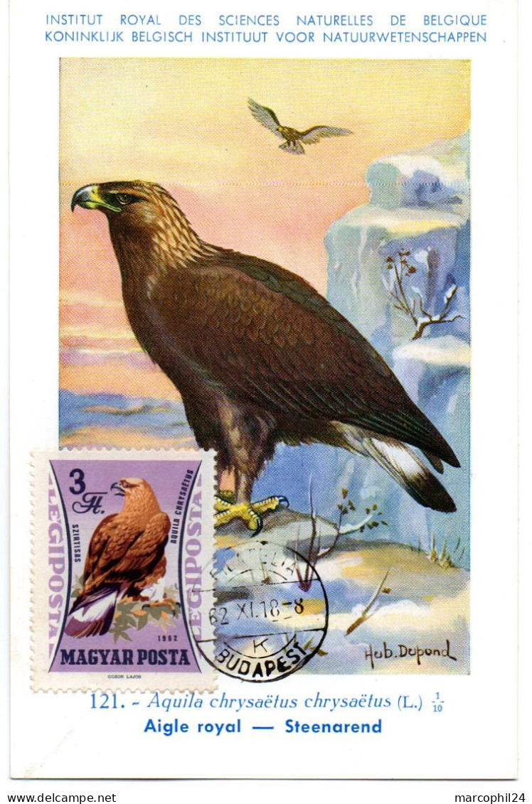 OISEAU / Aigle Royal = HONGRIE 1964  N° 256 = CARTE MAXIMUM INSTITUT ROYAL De BELGIQUE - Águilas & Aves De Presa