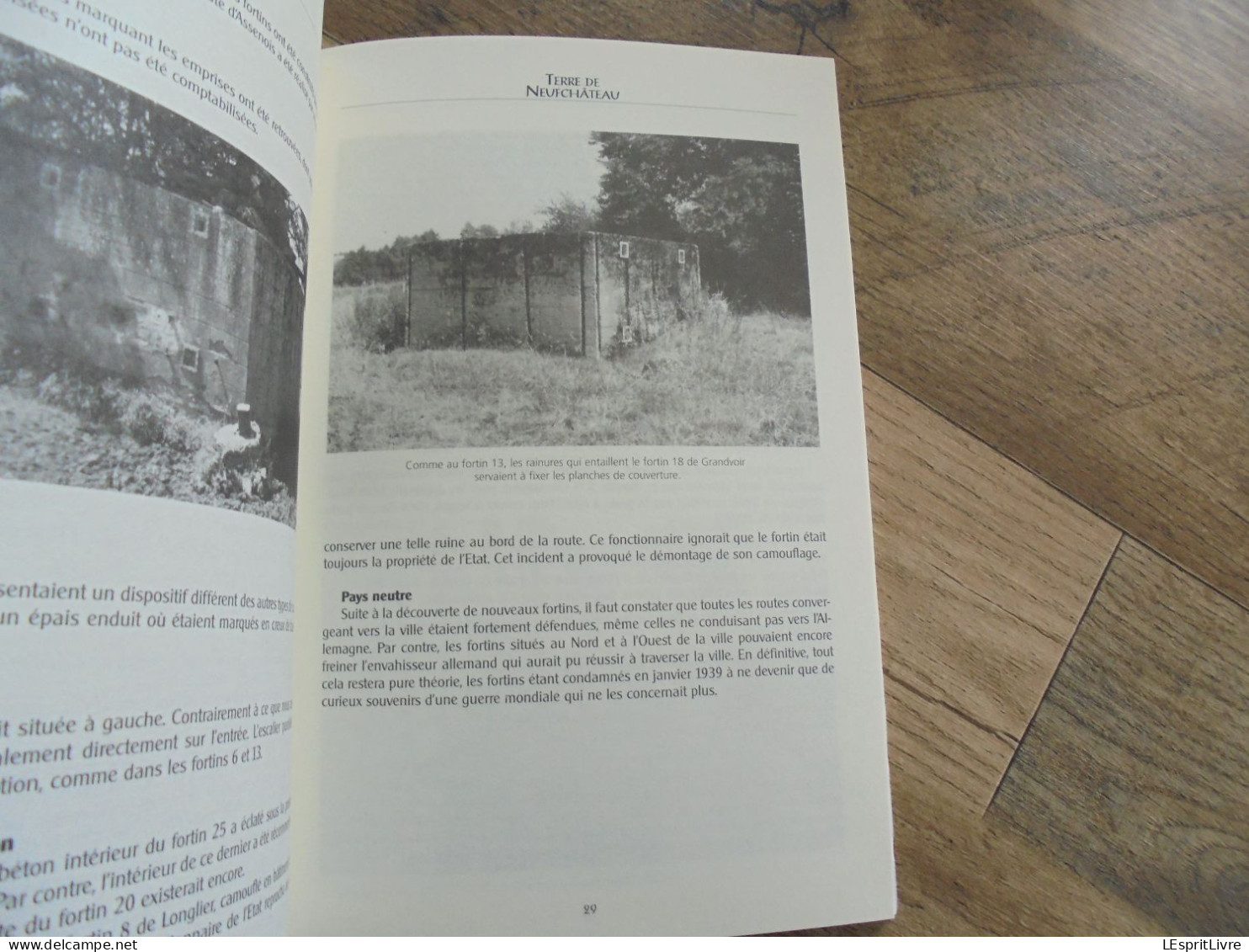 TERRE DE NEUFCHÂTEAU N° 2 Année 2009 Régionalisme Guerre 40 45 Crash Avion Leglise Fortin Famille Du Monceau Jusseret