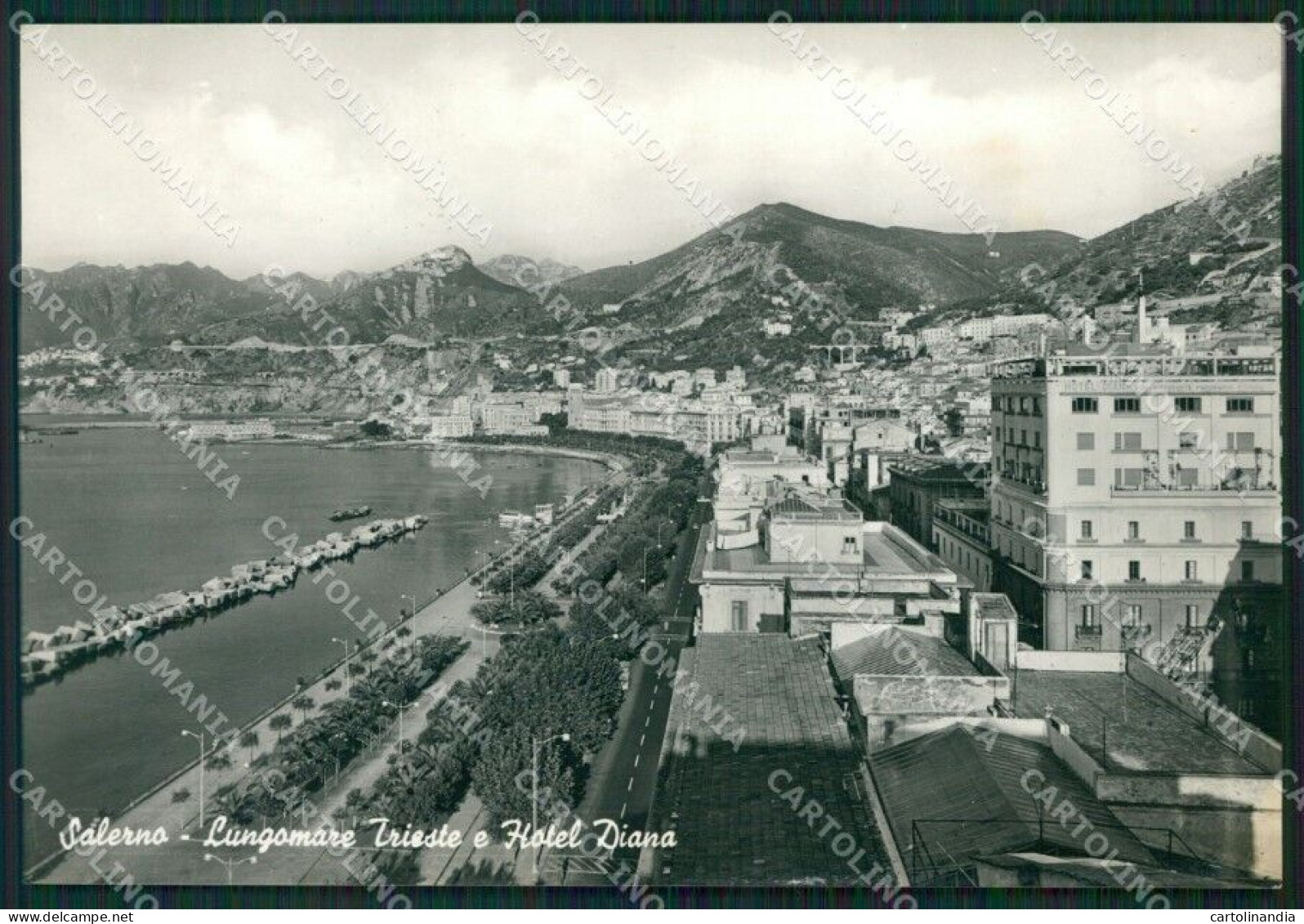 Salerno Città Foto FG Cartolina ZKM7286 - Salerno