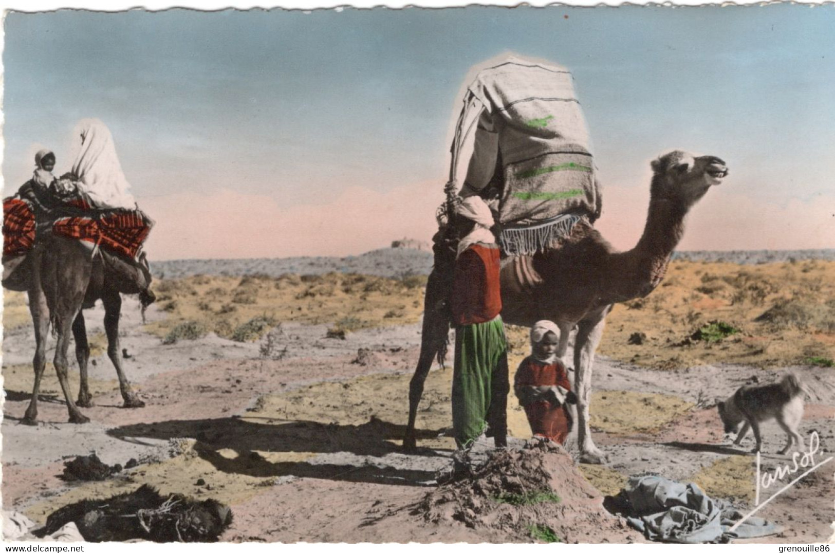 CPSM ALGÉRIE SCENES ET TYPES Un Groupe De Nomades 1955 - Couleur - Escenas & Tipos