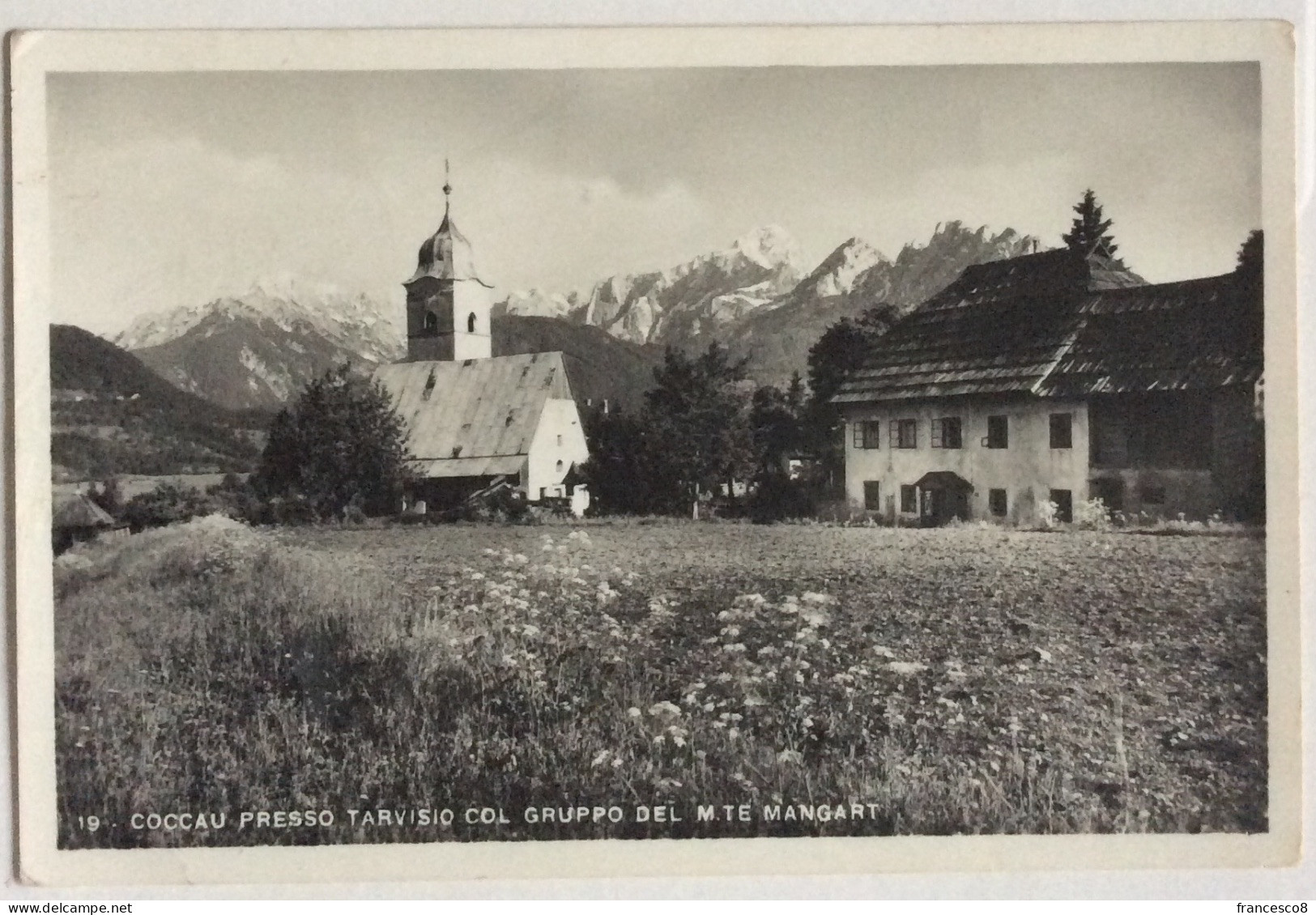 COCCAU PRESSO TARVISIO COL GRUPPO DEL M.TE MANGART / UDINE - Otros & Sin Clasificación