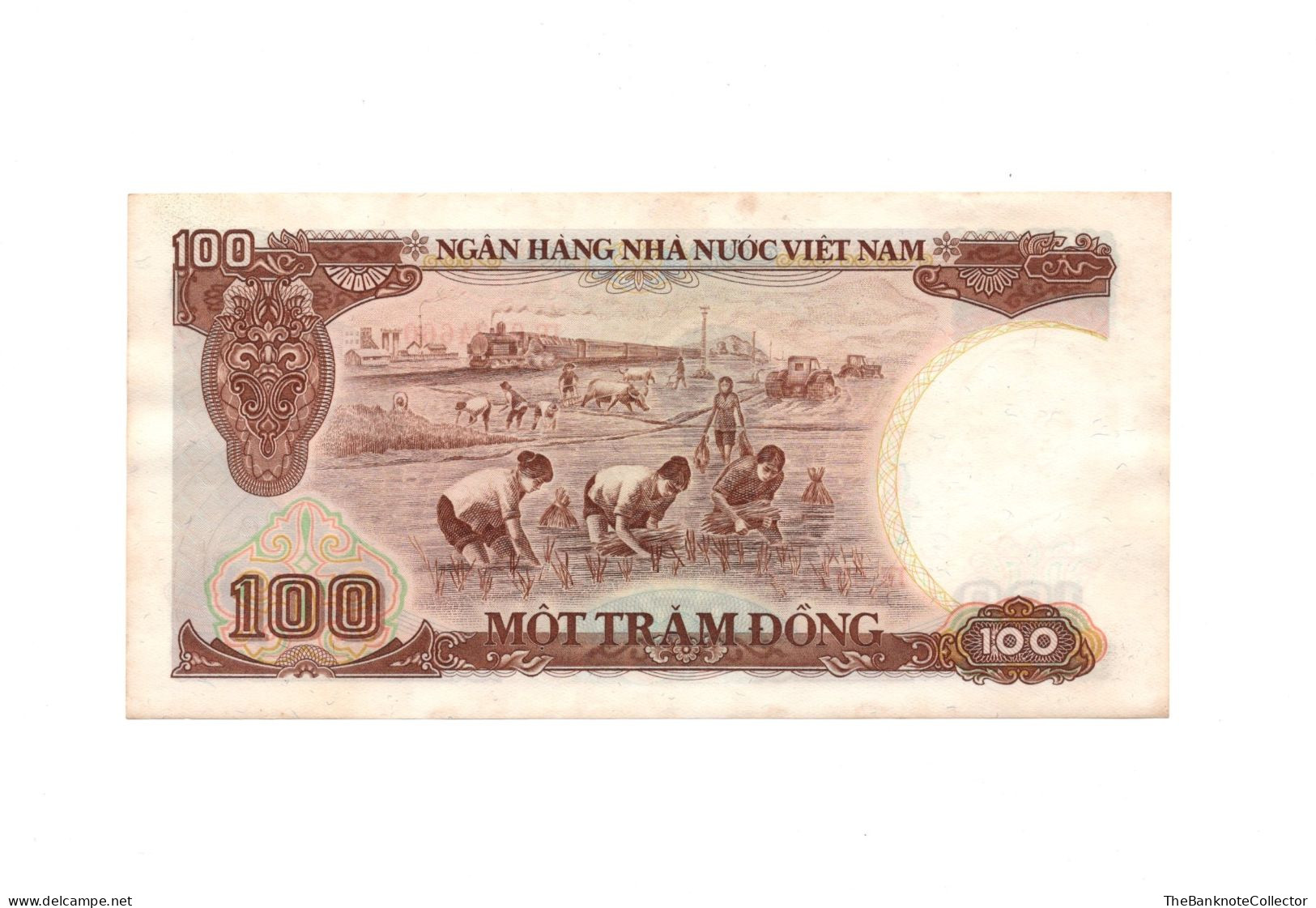 Vietnam 100 Dong 1985 P-98 UNC Foxed Margin - Vietnam