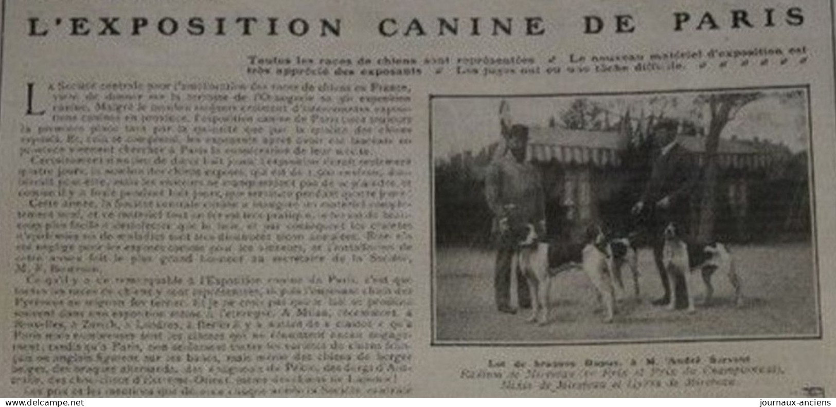 1906 L'EXPOSITION CANINE DE PARIS - LA VIE AU GRAND AIR - 1900 - 1949