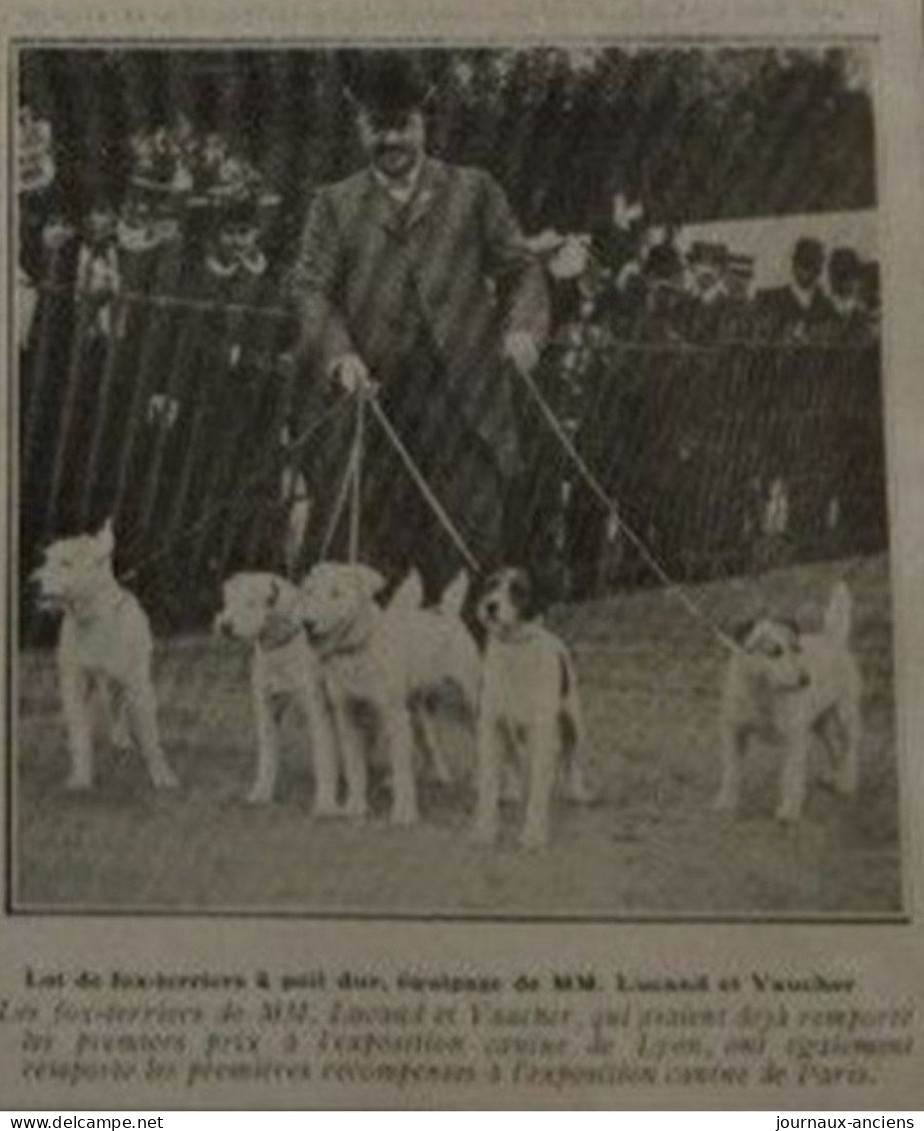 1906 L'EXPOSITION CANINE DE PARIS - LA VIE AU GRAND AIR - 1900 - 1949