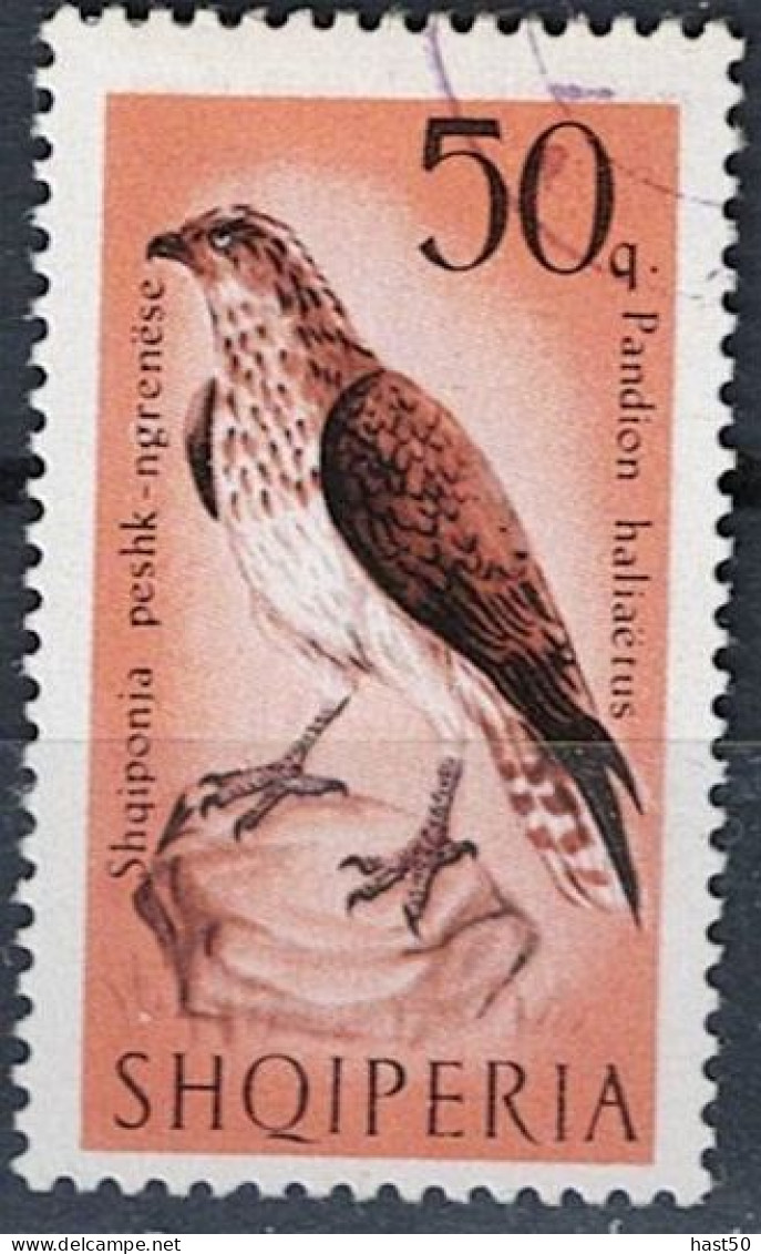 Albanien Albania Albanie - Fischadler (Pandion Haliaetus) (MiNr: 1128) 1966 - Gest Used Obl - Albanië