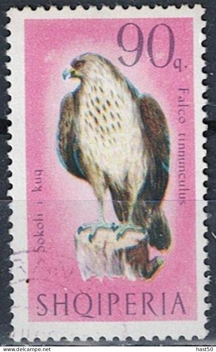 Albanien Albania Albanie - Turmfalke (Falco Tinnunculus) (MiNr: 1130) 1966 - Gest Used Obl - Albanien