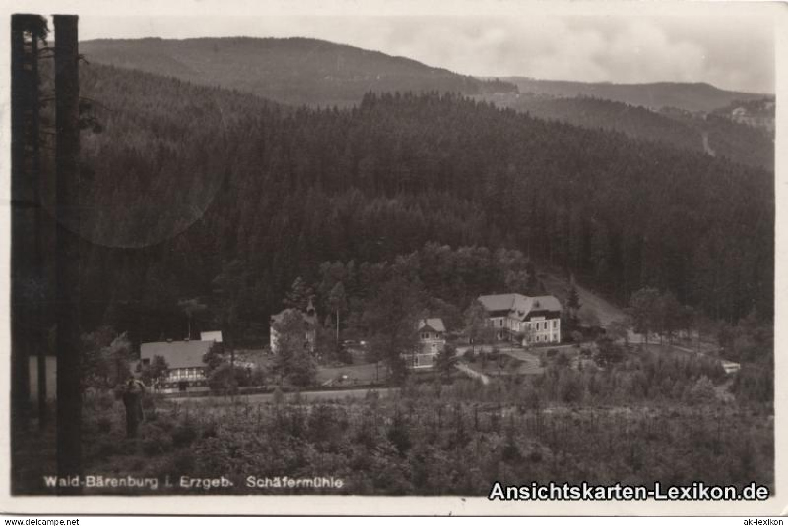 Waldbärenburg-Altenberg (Erzgebirge) Schäfermühle - Foto AK 1931 - Altenberg