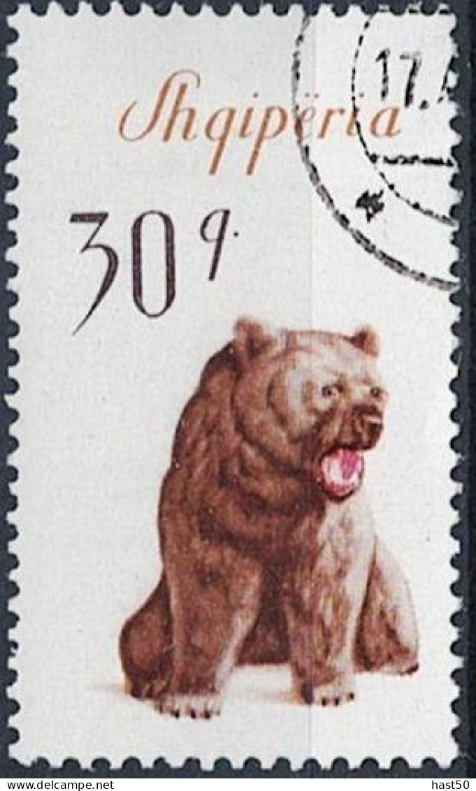 Albanien Albania Albanie - Braunbär (Ursus Arctos) (MiNr: 1012) 1965 - Gest Used Obl - Albanië