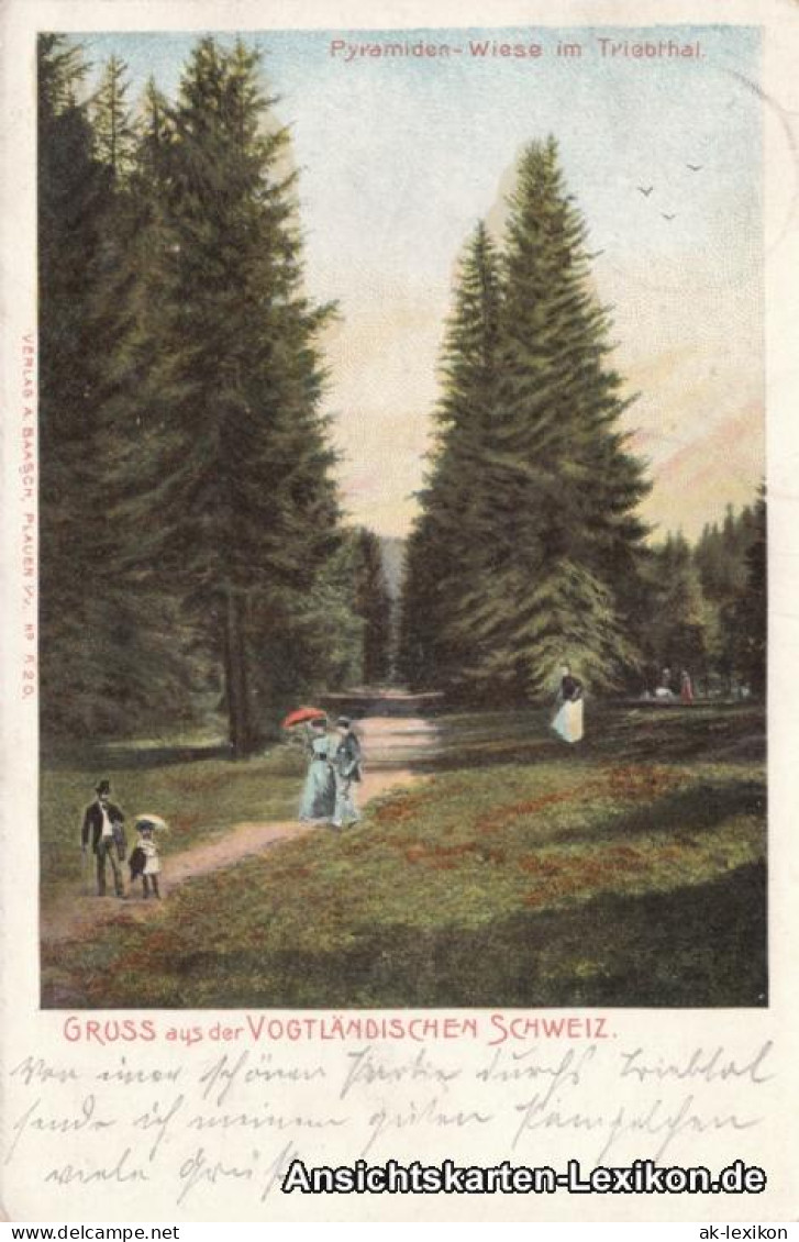 Ansichtskarte Pöhl Pyramiden-Wiese Im Triebthal 1903 - Pöhl