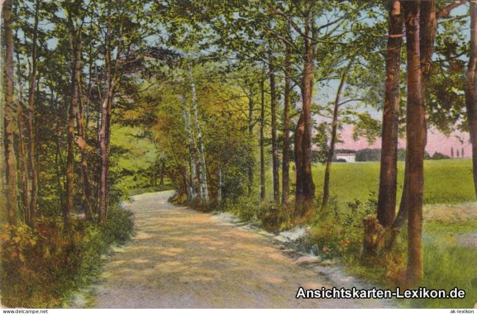 Bad Lausick Lausigk Promenadenweg Nach Dem Geldberg Und Waldfrieden 1942 - Bad Lausick