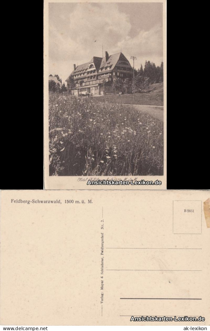 Ansichtskarte Titisee-Neustadt Hotel Feldbergerhof 1279 M ü. M. 1930 - Feldberg