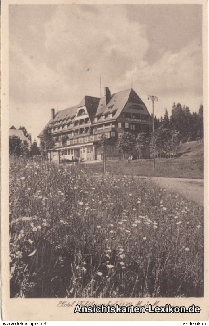 Ansichtskarte Titisee-Neustadt Hotel Feldbergerhof 1279 M ü. M. 1930 - Feldberg