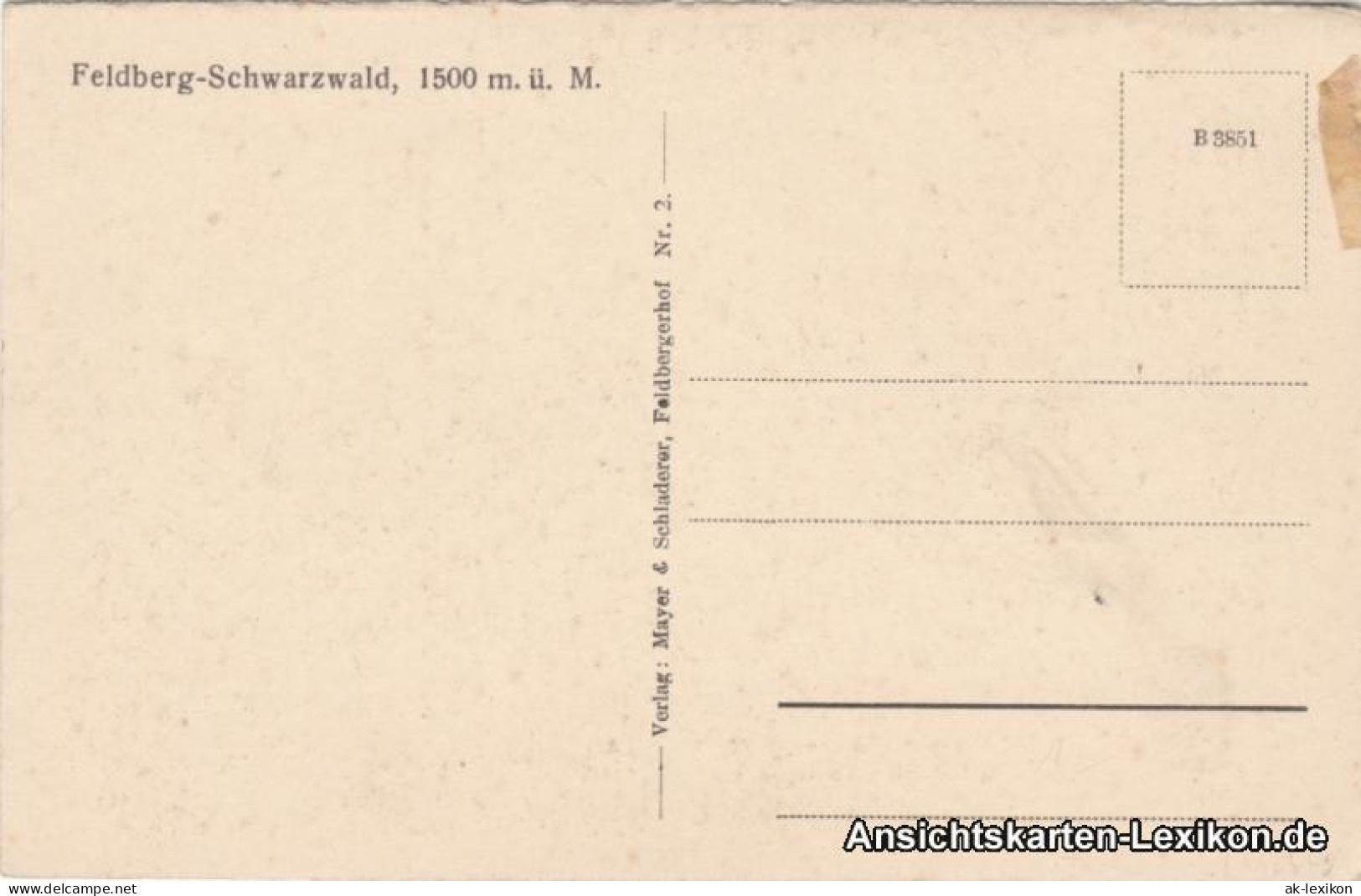 Ansichtskarte Titisee-Neustadt Hotel Feldbergerhof 1279 M ü. M. 1930 - Feldberg