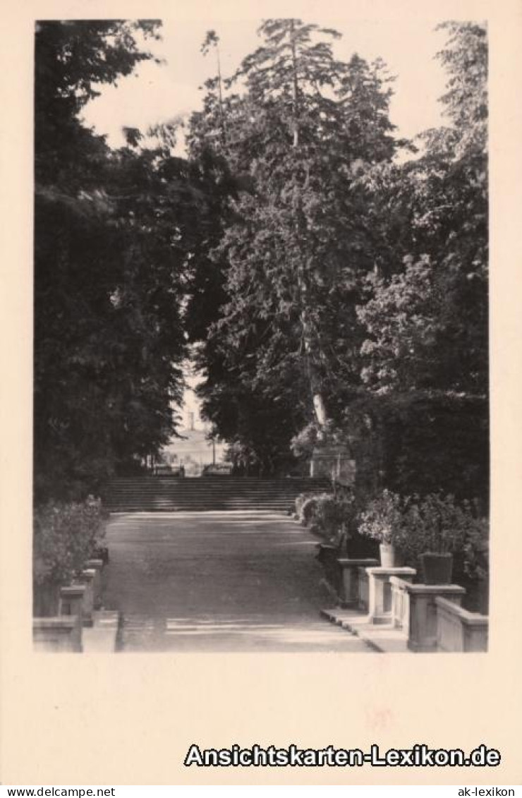 Ansichtskarte Rheinsberg Blick Zum Leuchtturm 1961  - Rheinsberg