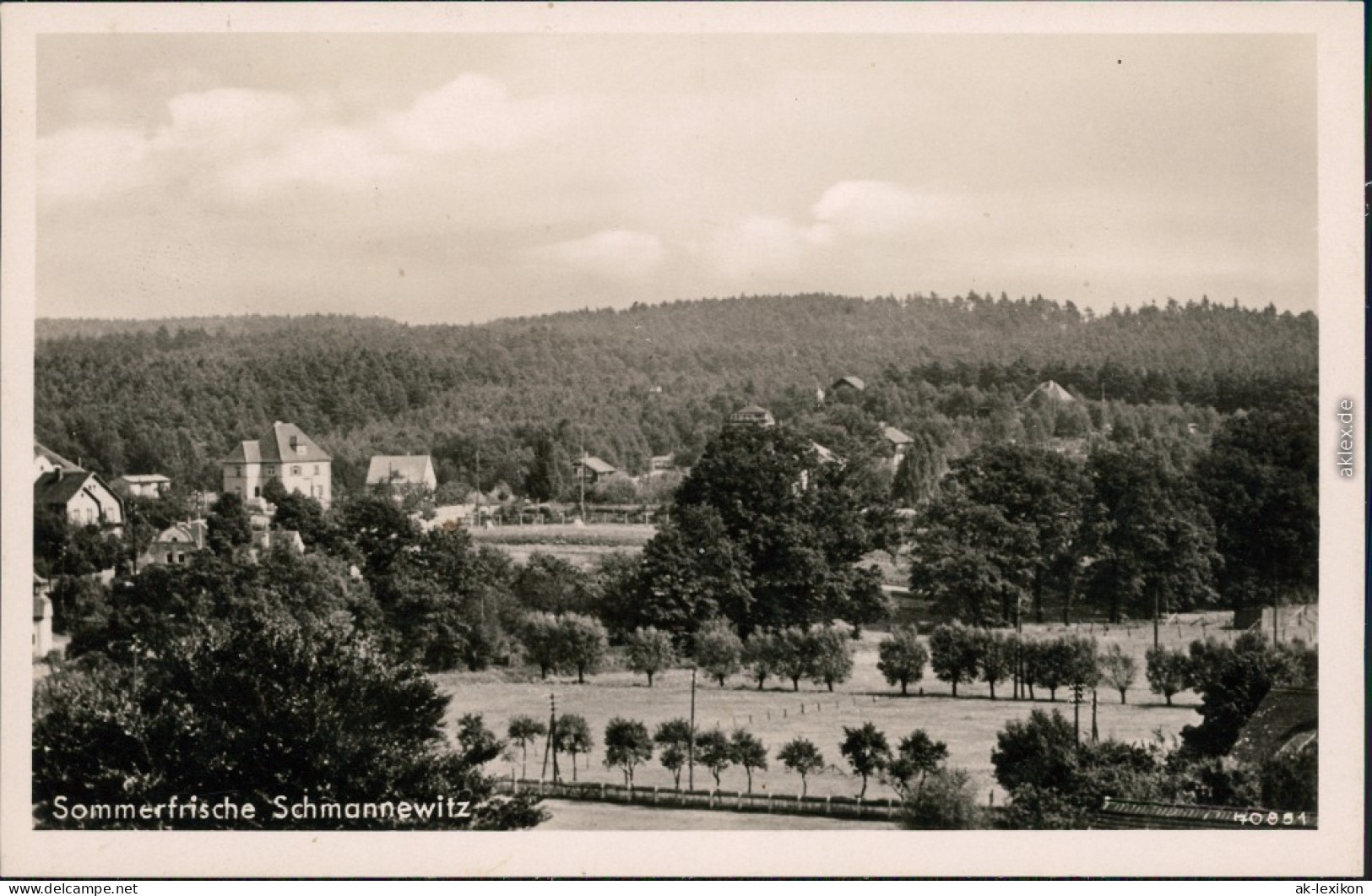 Schmannewitz Dahlen Blick Auf Die Stadt Ansichtskarte 1940 - Dahlen