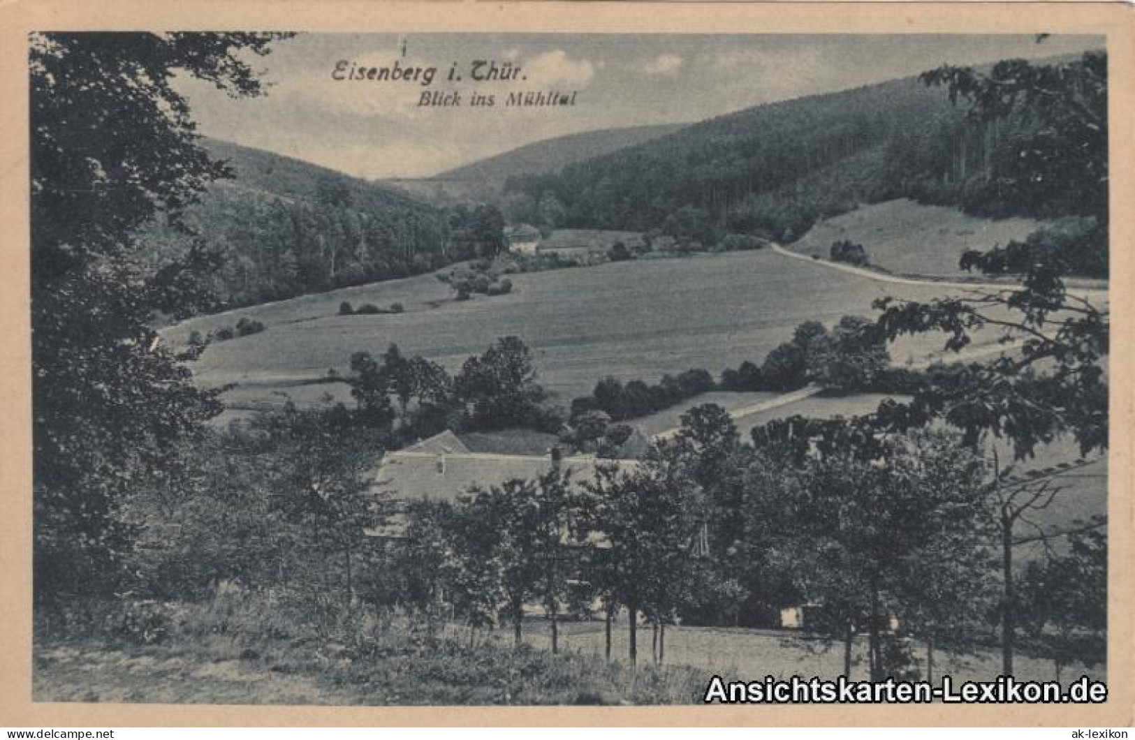 Ansichtskarte Eisenberg (Thüringen) Blick Ins Mühltal 1919 - Eisenberg