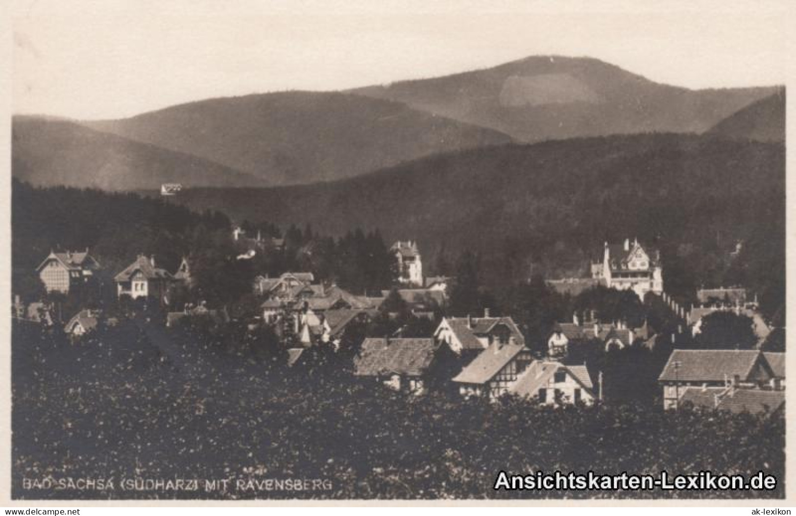 Ansichtskarte Bad Sachsa Panorama - Foto AK 1928 - Bad Sachsa
