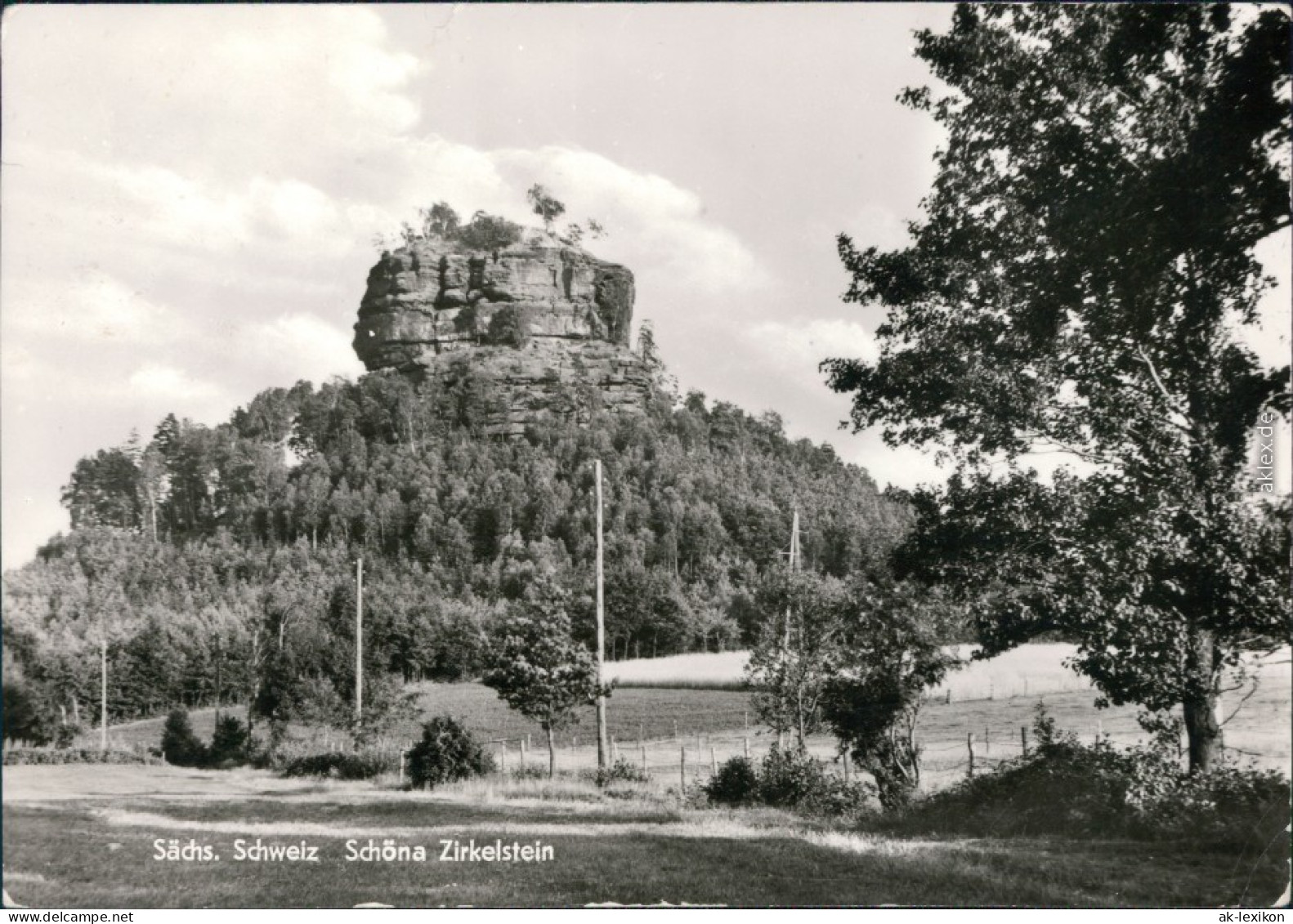 Ansichtskarte Schöna-Reinhardtsdorf-Schöna Partie Am Zirkelstein 1981  - Schöna