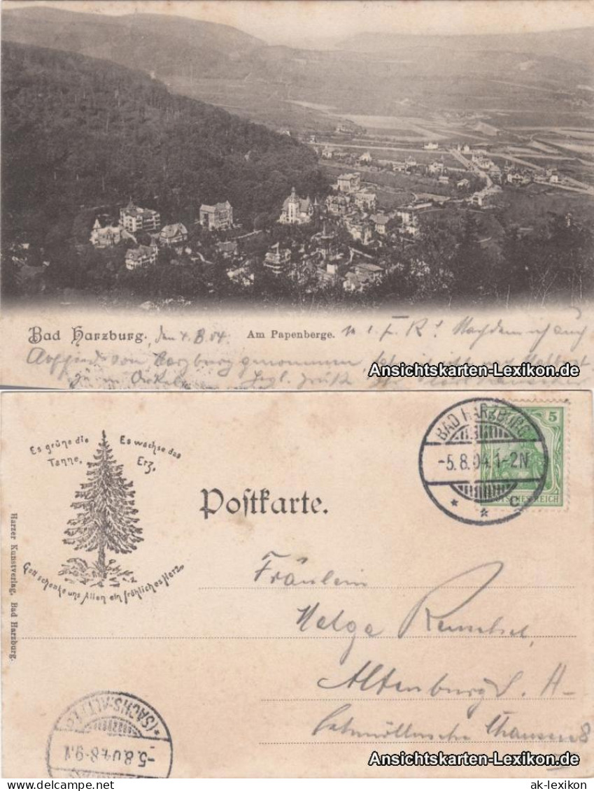 Ansichtskarte Bad Harzburg Am Papenberge 1904 - Bad Harzburg