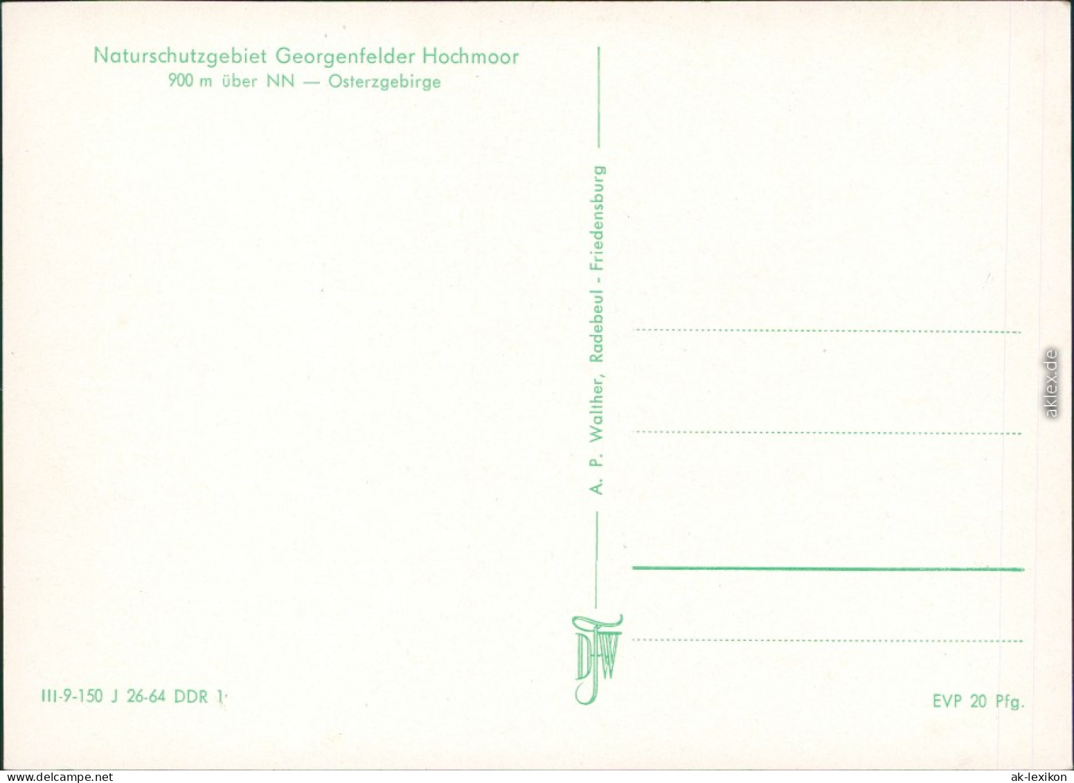 Zinnwald-Georgenfeld-Altenberg (Erzgebirge) Georgenfelder Hochmoor 1964 - Altenberg