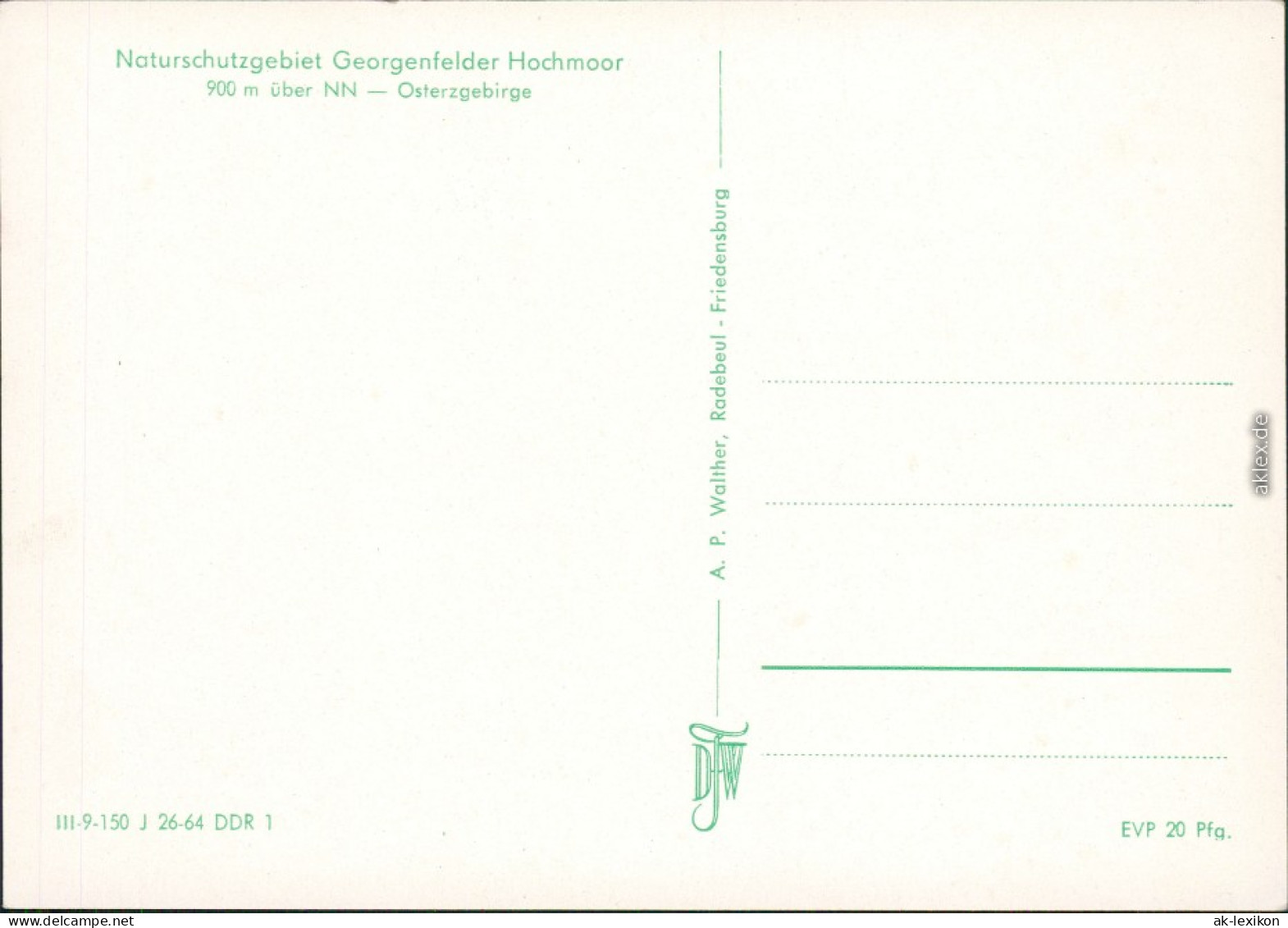 Zinnwald-Georgenfeld-Altenberg (Erzgebirge) Georgenfelder Hochmoor  2 1964 - Altenberg